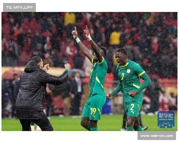 非洲杯决赛后塞内加尔球迷游行，首都狂欢庆祝